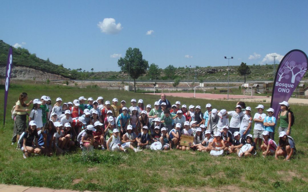 Visita de un grupo de escolares del Colegio SEK-Ciudalcampo